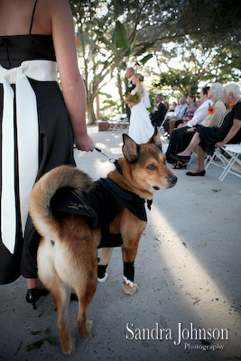 Best Winter Park Civic Center Wedding Photos - Sandra Johnson (SJFoto.com)